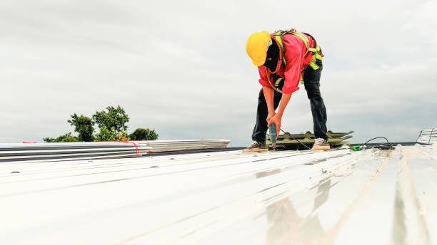 Best Roof Maintenance and Cleaning  in Westwood, MI